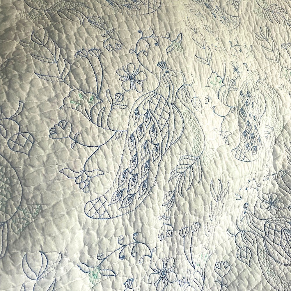 Anthropologie quilt and pillow cases